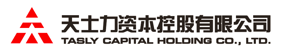凯发k8天生赢家一触即发官网资本控股有限公司